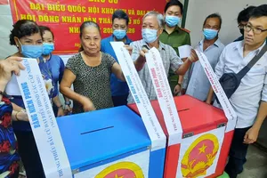 TP.HCM: Đúng 19 giờ tiến hành kiểm phiếu