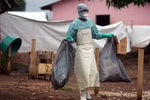 TP.HCM có chỉ đạo khẩn về giám sát dịch bệnh Marburg