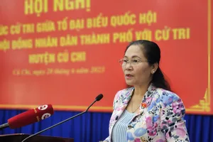 HĐND TP.HCM tổ chức 90 cuộc giám sát về đầu tư công với các dự án quan trọng