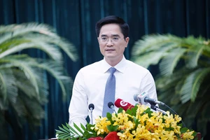 TP.HCM đặt mục tiêu năm 2035 sẽ hoàn thành 183 km đường sắt đô thị 