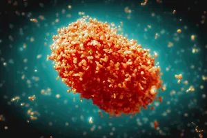 TP.HCM phát hiện thêm một ca mắc đậu mùa khỉ