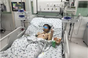 Bé trai 10 tuổi bị bò giẫm dập rách lách và phổi