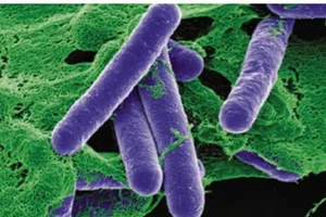 Ngộ độc botulinum sau khi ăn pate đóng hộp