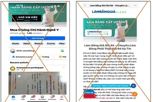 Chuyển vụ việc làm giả chứng chỉ hành nghề khám, chữa bệnh sang công an 