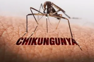 TP.HCM duy trì giám sát, chủ động ứng phó dịch bệnh Chikungunya 