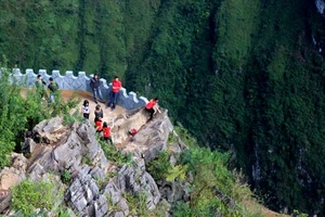 Hoa tam giác mạch miên man hút khách ở Hà Giang