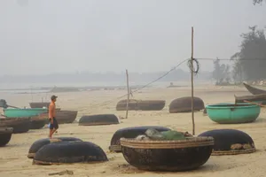 Nhiều tổ chức vào cuộc vụ cá chết ở miền Trung