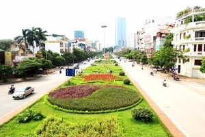 Cỏ mọc um tùm sau khi Hà Nội dừng chi tiền tỉ cho việc... cắt cỏ