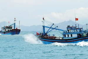 Việt - Trung đàm phán về lĩnh vực ít nhạy cảm trên biển