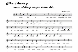 Cho phép phổ biến bài 'Còn thương rau đắng mọc sau hè'