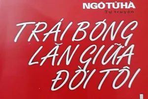 Cựu lãnh đạo VFF tiết lộ góc khuất nền bóng đá Việt