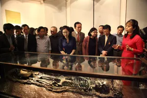 'Những người muôn năm cũ' lên tiếng qua những cổ vật