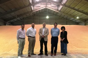 Lô hàng bắp 'lịch sử' 67.000 tấn của Mỹ tới Việt Nam