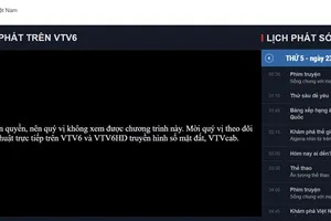 Vì sao VTV6 bị ngắt sóng trận Việt Nam-Bahrain?
