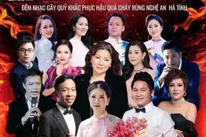 Đêm nhạc 'Hướng về Hà Tĩnh' sau những vụ cháy rừng ​