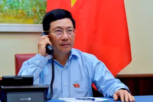 Việt Nam - Ai Cập tìm các giải pháp hợp tác sau dịch COVID-19