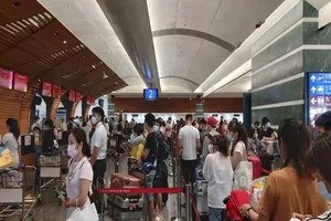 Hơn 240 công dân Việt Nam từ Đài Loan về nước an toàn