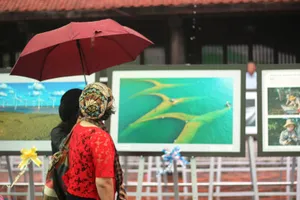 Người dân Hà Nội đội mưa, xem ảnh nghệ thuật