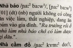 Nhà văn trong đời sống và ‘nhà báo’ trong từ điển