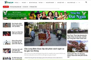 Phạt 325 triệu đồng, đình bản 3 tháng báo Pháp luật Việt Nam điện tử 