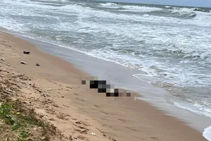 Việt Nam và Trung Quốc điều tra vụ 7 thi thể dạt vào biển Phú Quốc