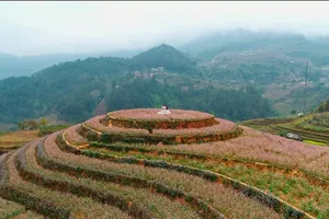 Phim 'Chạm vào hạnh phúc' hội tụ danh lam thắng cảnh đẹp nhất phía Bắc