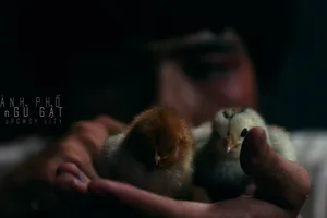 Phim Việt "Thành phố ngủ gật" dán nhãn 18+ ấn định ngày ra rạp 