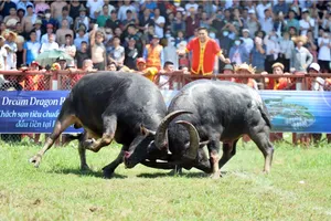 Giám sát chặt các lễ hội tập trung đông người, không để xảy ra vi phạm, trục lợi