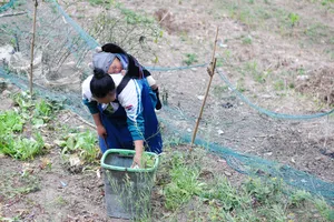 Trẻ em sinh ra trẻ em: Ký ức buồn về tình trạng tảo hôn trên cao nguyên đá