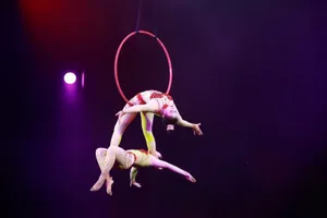 NSƯT Ngô Lê Thắng: Tuyển thí sinh học xiếc, trường phải thuyết phục cả phụ huynh 