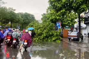 Siêu bão số 3: Mưa to, nhiều cây xanh ngã đổ, Hà Nội khuyến cáo người dân không ra đường