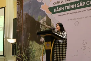 Hà Nội có số lượng gấu bị nuôi nhốt nhiều nhất Việt Nam