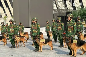 40 quân khuyển trở về từ Thổ Nhĩ Kỳ sẽ xuất hiện trong 'Con đường lịch sử'