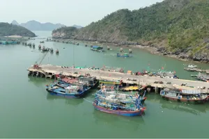 Bộ VH-TT&DL yêu cầu kiểm tra toàn bộ cơ sở lưu trú du lịch