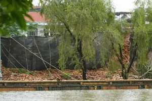 Bộ VH-TT&DL có chỉ đạo xử lý vụ sập tường Hoàng thành Huế