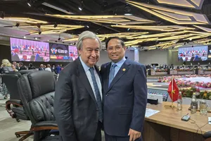 WHO và Liên hợp quốc sẽ hỗ trợ Việt Nam khắc phục hậu quả lũ lụt