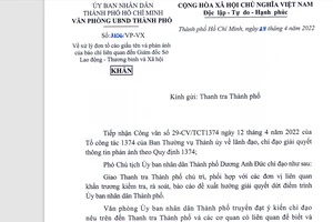 Giám đốc Sở Lao động - Thương binh và Xã hội TP.HCM Lê Minh Tấn. Ảnh: HOÀNG GIANG