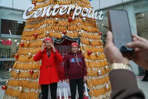 Hà Nội: Cận cảnh cây thông noel được làm từ 8.000 trái bắp 