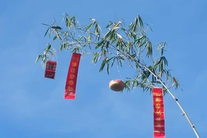 Hồn của Tết...