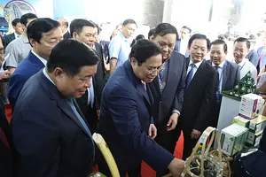 Biến Bắc Trung Bộ - duyên hải Trung Bộ thành vùng giàu có, phát triển bền vững