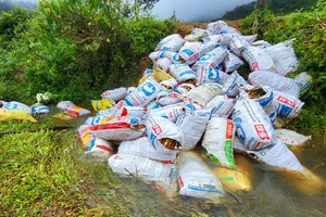 Hàng chục tấn nông sản bị mắc kẹt do đường sình lầy 