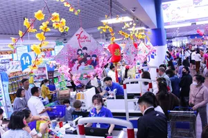 Nhiều siêu thị khuyến mãi mạnh kích cầu tiêu dùng tết. ẢNH: TÚ UYÊN