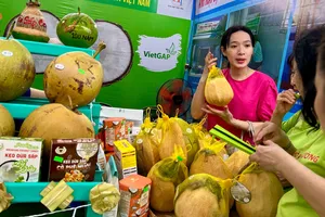 Người dân, du khách đội mưa đến dự Festival 100 năm Dừa sáp Trà Vinh