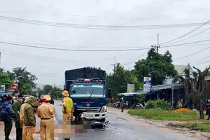 Va chạm với xe tải, người phụ nữ và 1 cháu nhỏ tử vong thương tâm