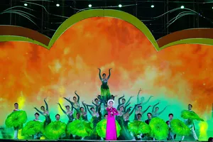 TP Bảo Lộc: Thủ phủ trà và lụa vào hội