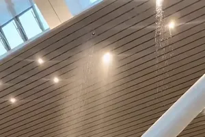 Yêu cầu ACV xử lý dứt điểm sự cố nhà ga T3 bị dột nước