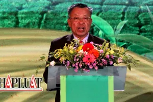 Lý do nguyên Chủ tịch Thành phố Bảo Lộc bị khởi tố