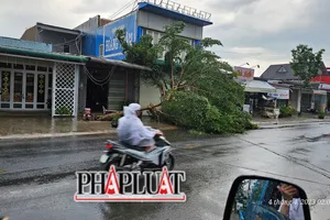 Lốc xoáy gây thiệt hại nhiều tài sản ở Bảo Lộc