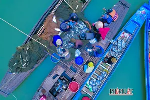 Một ngày lênh đênh trên hồ Dầu Tiếng