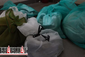 Bị bắt khi chở 9 con rắn hổ chúa đi bán